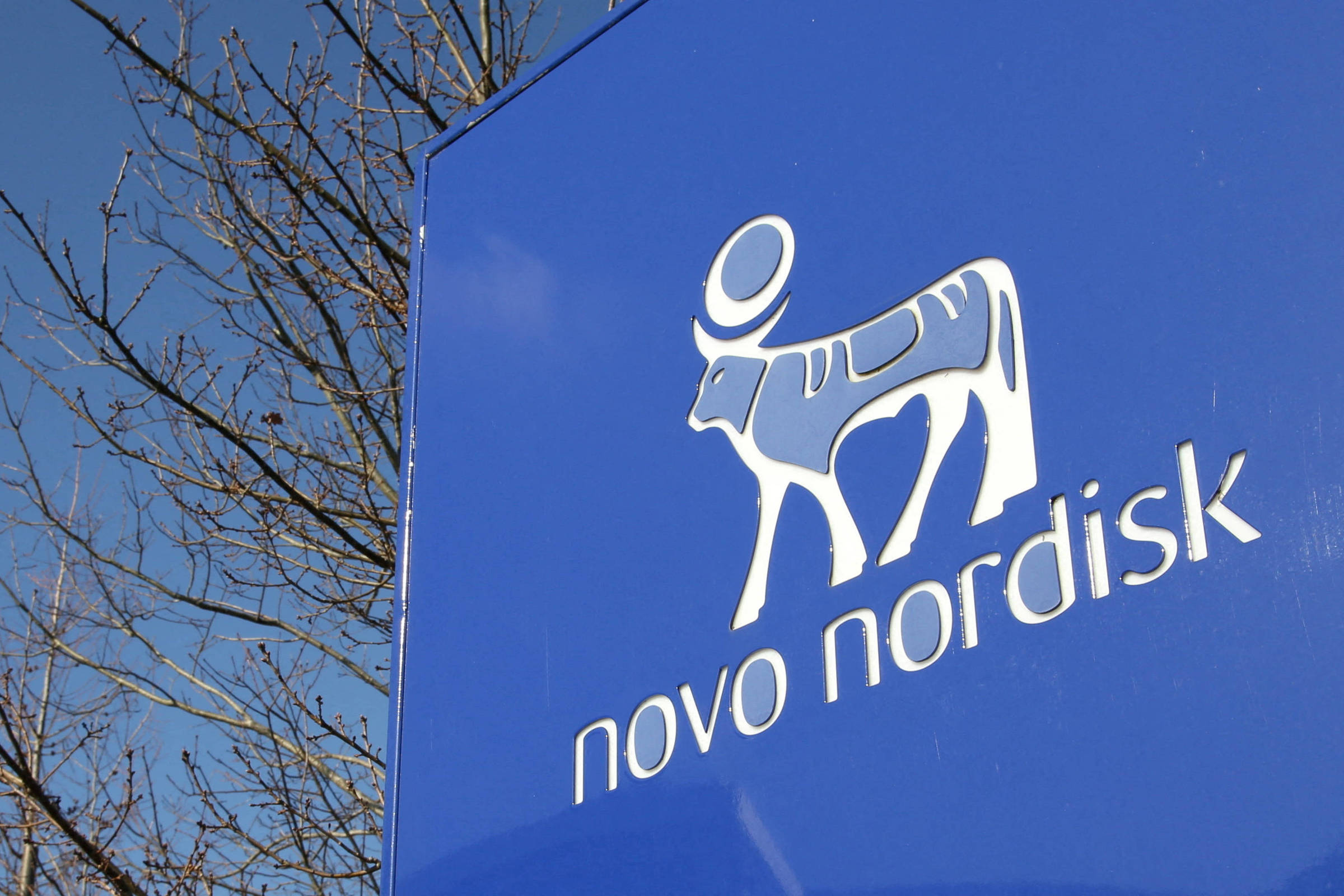 Novo Nordisk decepciona ao divulgar dados de novo teste de remédio para obesidade